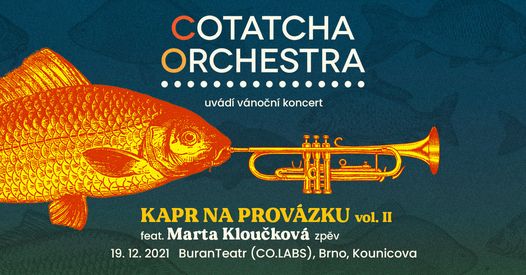 Kapr na Provázku vol. II - pozvánka na speciální koncertní vystoupení Cotatcha Orchestra v brněnském CO.LABS 19.12.2021