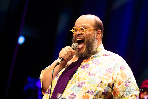 Ed Motta, 2014 (Credit photo: WOMEX, Wikimedia, Creative Commons Attribution 2.0 Generic)