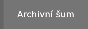 Archivní šum